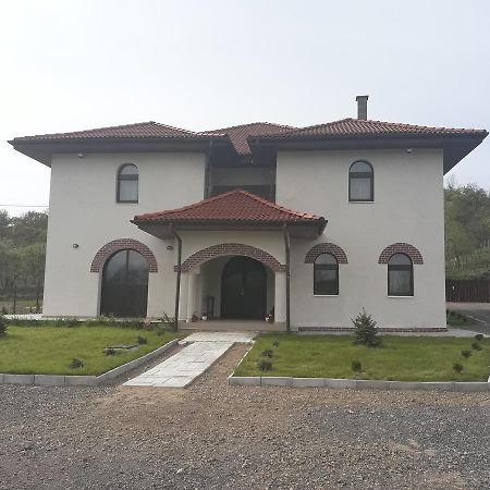 Pensiunea Casa Ungur Cetea Esterno foto