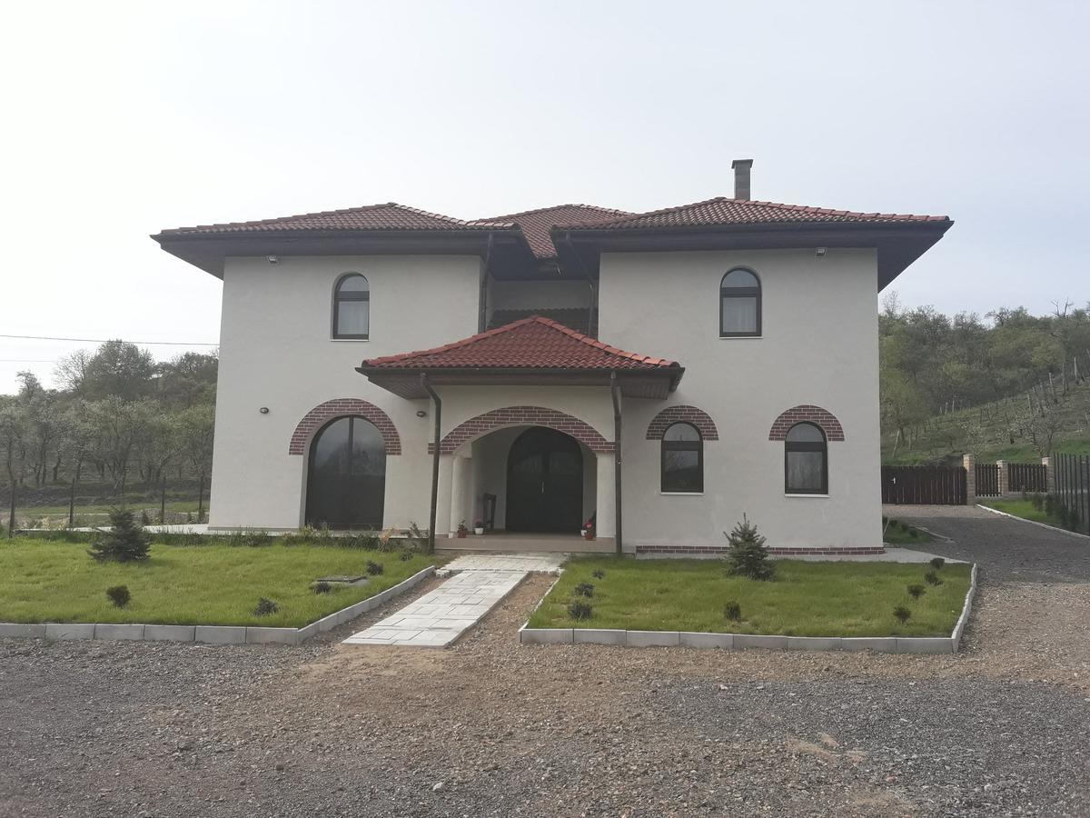 Pensiunea Casa Ungur Cetea Esterno foto